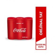 Coca Cola 6X250Ml Kutu