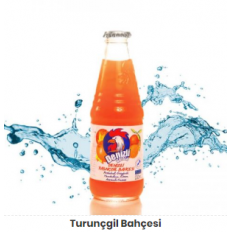 Denizli Gazoz Turunçgil Bahçesi