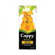 Cappy Kayısı Nektarı 200Ml