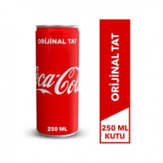 Coca Cola 250Ml Kutu